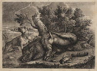 TvB G 4355
<br/>
Hond waakt over jachtbuit
<br/>
<em>Ridinger, Johann Elias (1698-1767)</em>